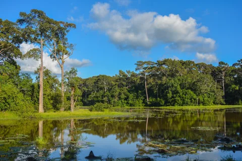ডুলাহাজারা সাফারি পার্ক