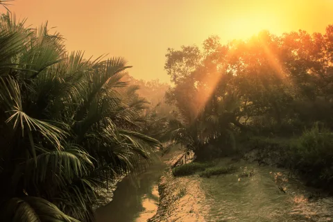করমজল বন্যপ্রাণী প্রজনন কেন্দ্র