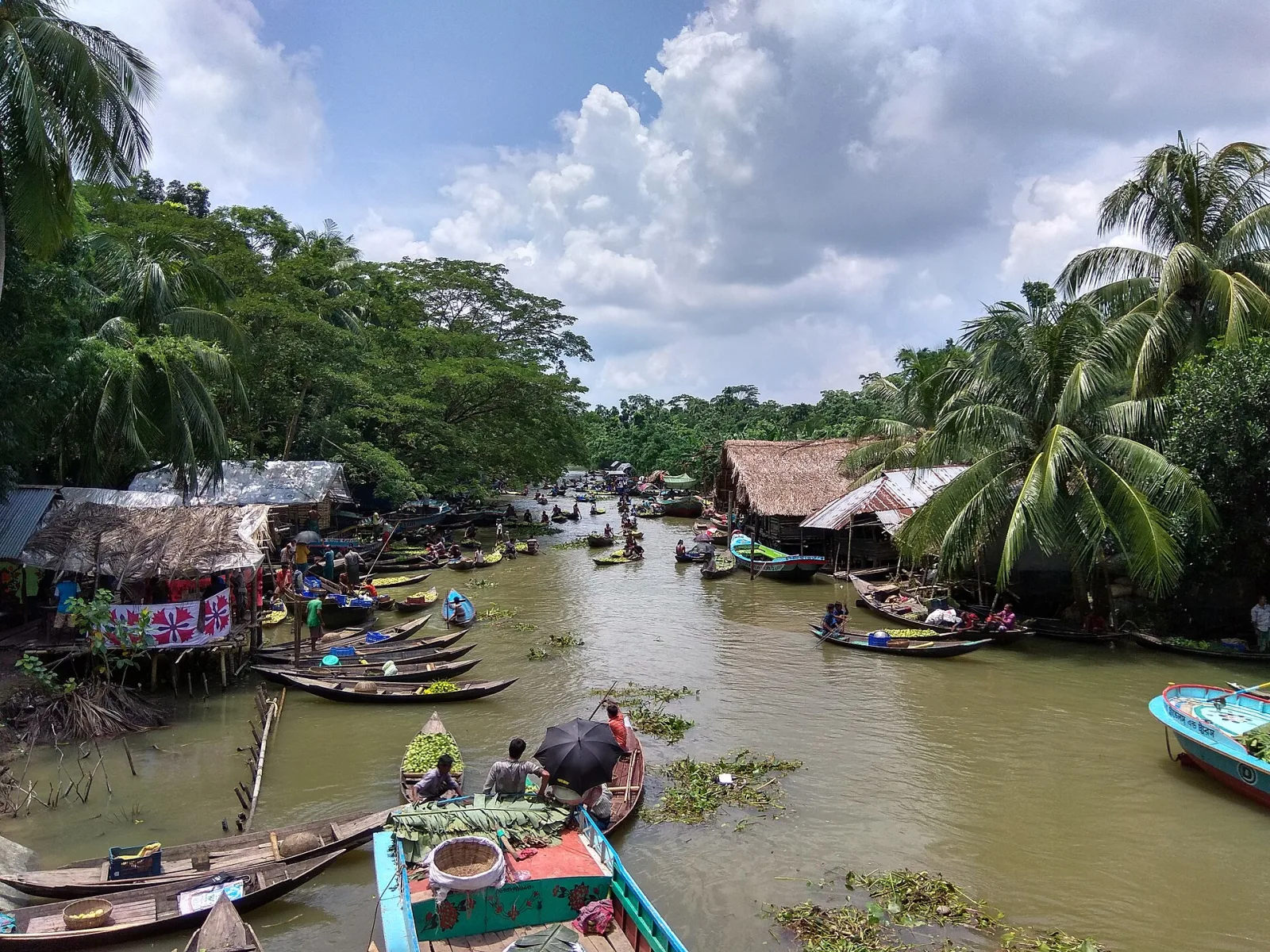 ভীমরুলী ভাসমান পেয়ারা বাজার