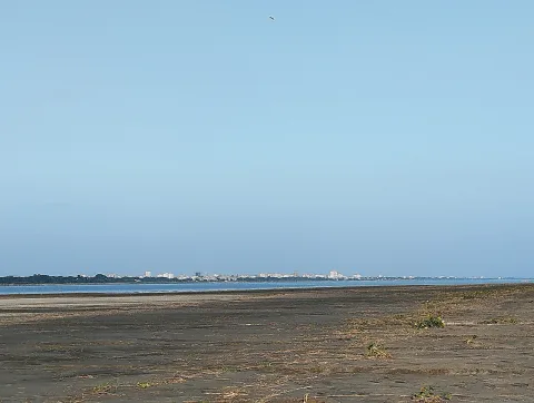 পদ্মার পাড় (পদ্মা গার্ডেন ও টি-বাঁধ)