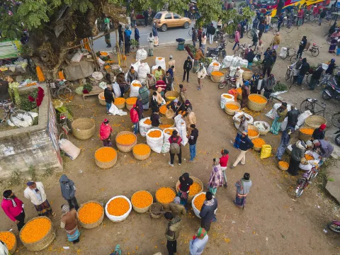 গদখালীর ফুলের মাঠ