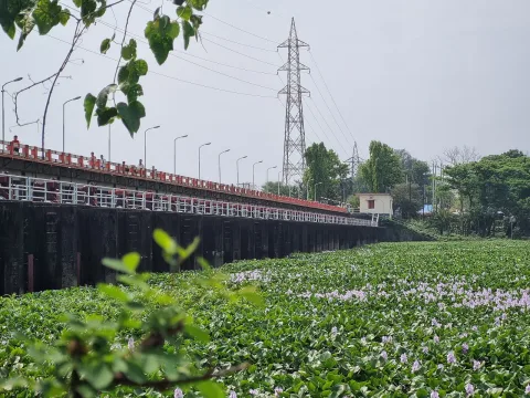 মুহুরী প্রকল্প