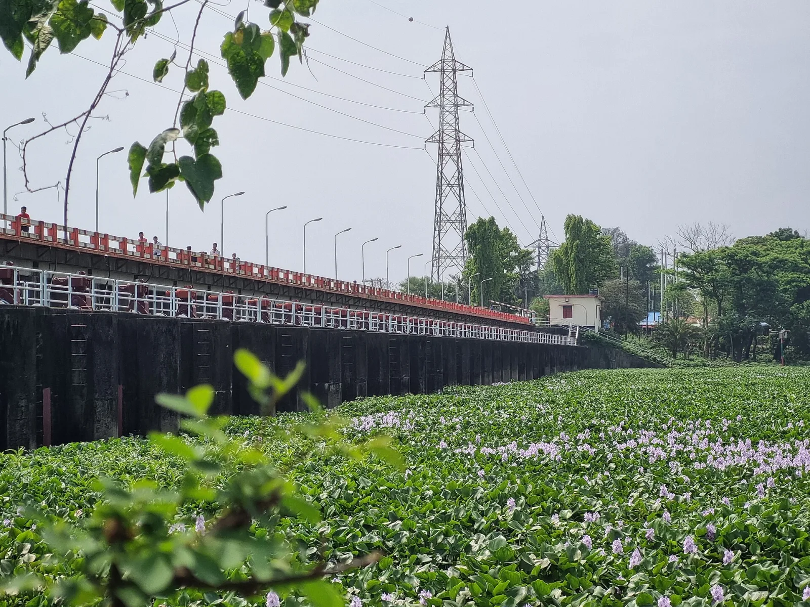 মুহুরী প্রকল্প