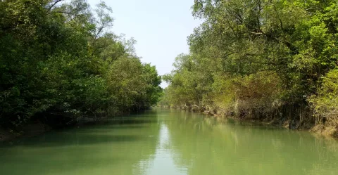 চর কুকরী-মুকরী
