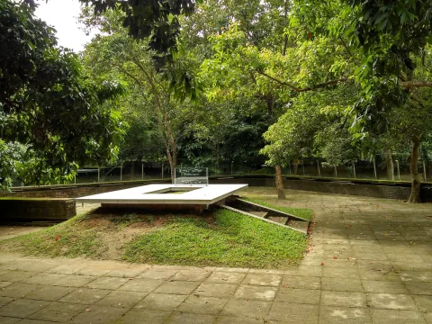 নুহাশ পল্লী